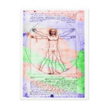 Pastel Colourized DaVinci Proportion Man Drawing postcards