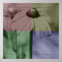 Pastel Colours Flower Print