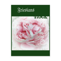 Pastel Flower Post Card