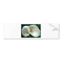 Pastel lilies bumper stickers