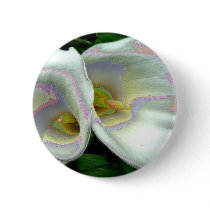 Pastel lilies buttons