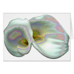 Pastel Lilies Cards