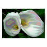 Pastel lilies cards