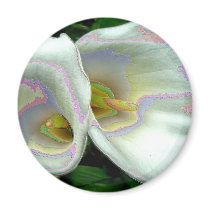 Pastel lilies fridge magnets