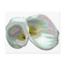 Pastel Lilies Post Card