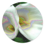 Pastel lilies stickers