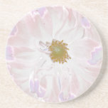 Pastel pale pink and white dahlia beverage coasters