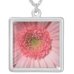 Pastel Pink Daisy  Sterling Silver Necklace