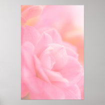 Pastel pink flower ... poster posters