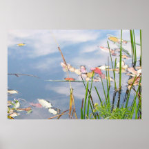 Pastel Pond Print