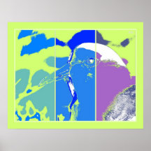 Pastel Pop art Triptych Bird Masked Lapwing Poster