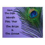 Pastel Purple Peacock Save the Date Postcard