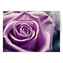 Pastel Rose note cards (muted lilac)