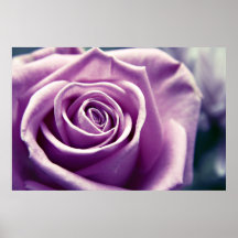 Pastel Rose print (muted lilac)