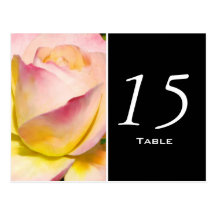 Pastel Rose Table Number Postcard