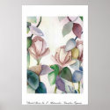 Pastel Roses No. 2 Caroline Tigeress posters