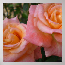 Pastel Roses Poster