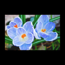 Pastel shades of blue canvas prints