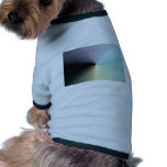 Pastel spiral gradient pet clothing