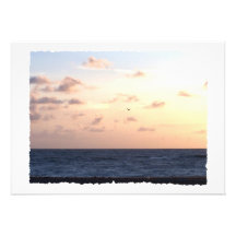 Pastel sunrise over the ocean w/passing seagull invites