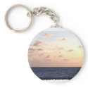 Pastel sunrise over the ocean w/passing seagull keychains