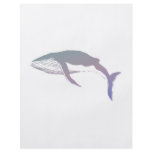 pastel whale design flyers