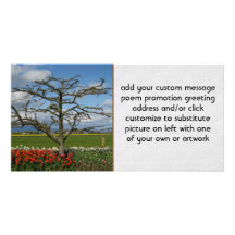 Pastoral Scene Personalized Photo Card