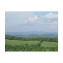 Pastoral Scene Postcard