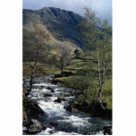 Pasture beck at low Hartsop, Cumbria, U.K. Cut Out