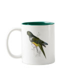 Patagonian Parrakeet-Maccaw by Edward Lear mugs