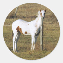 Patches Peeking by Leslie Peppers Stickers