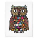 Patchwork Owl photography