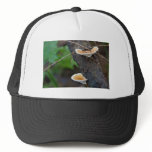 path ends hat