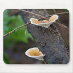 path ends mouse mats