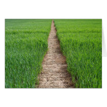 Path Greeting Card