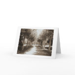 Path in sunlight cards