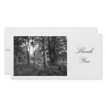 Path in the Woods - Thank You photo cards