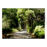 Path in woods cards