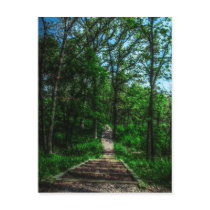 Path Of Life Postcard