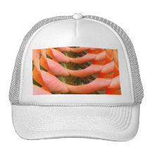 Path of Love_ Mesh Hat