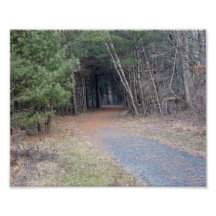 Path of Wonder 10x8 Photographic Print