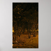 Path Posters