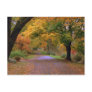 Path to Fall Postcard
