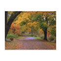 Path to Fall postcards