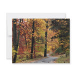 Paths invitations