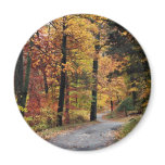 Paths magnets