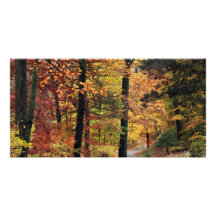 Paths Photo Card Template