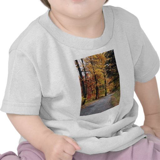Paths T Shirt