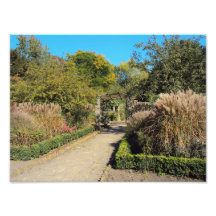 Pathway In The Rookery, Streatham Common Art Photo