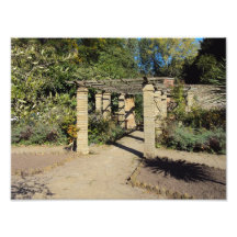 Pathway In The Rookery, Streatham Common Photo
